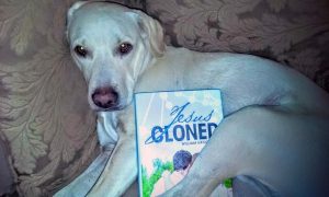 The blonde lab cross is Franklin, and he enjoys cuddling with a good book.